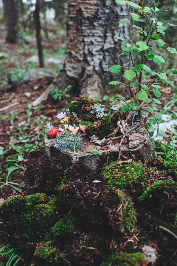 A bug home built on a stump in the forest.