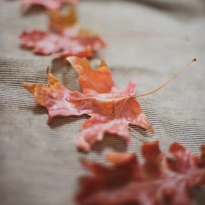 Fall Leaf Garland
