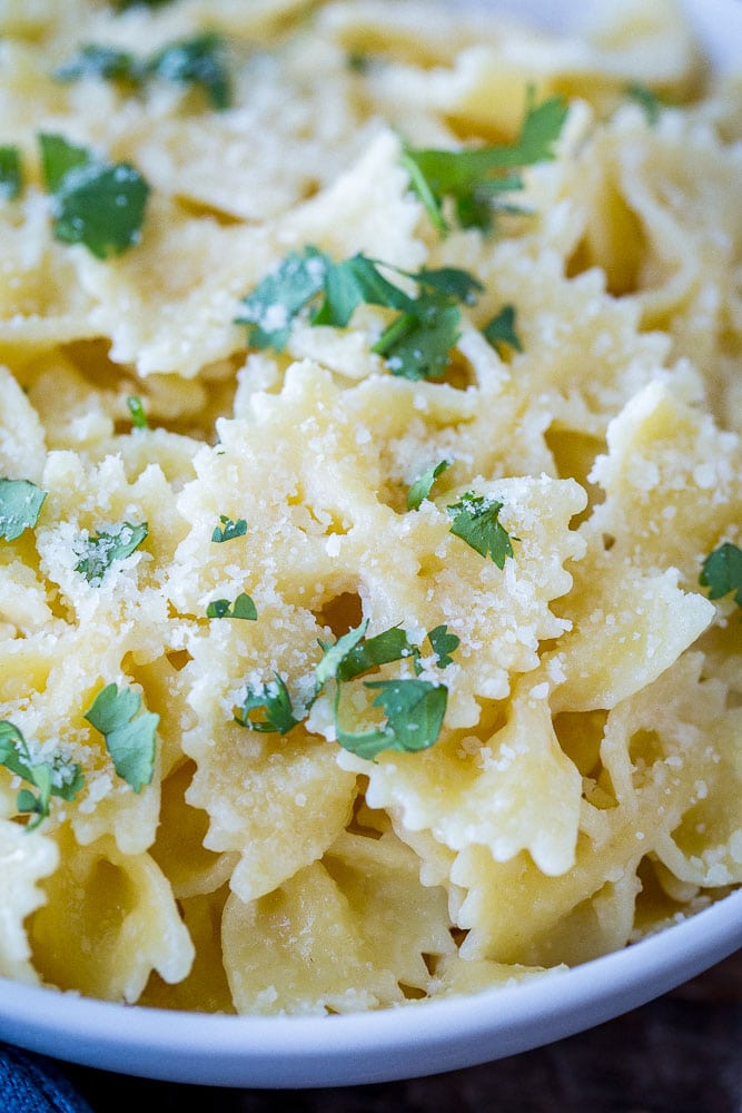 Close up of parmesan pasta in a bowl