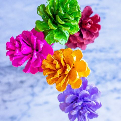 Pinecone Flowers