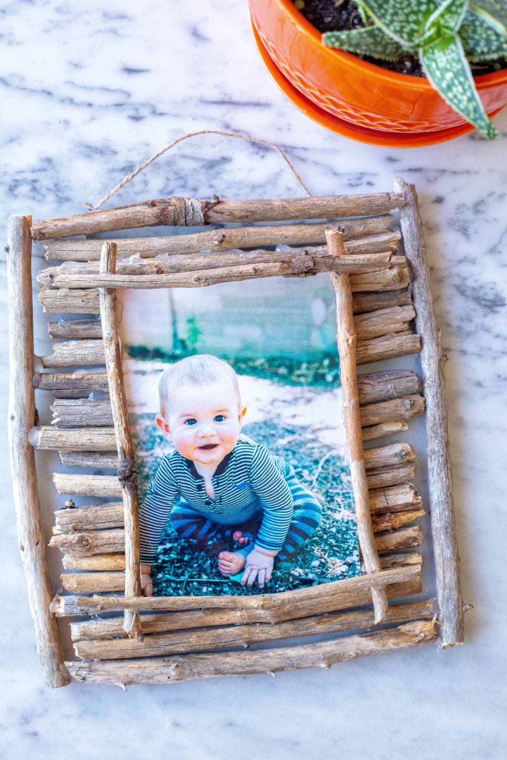 Twig Picture Frame on a table with plant next to it