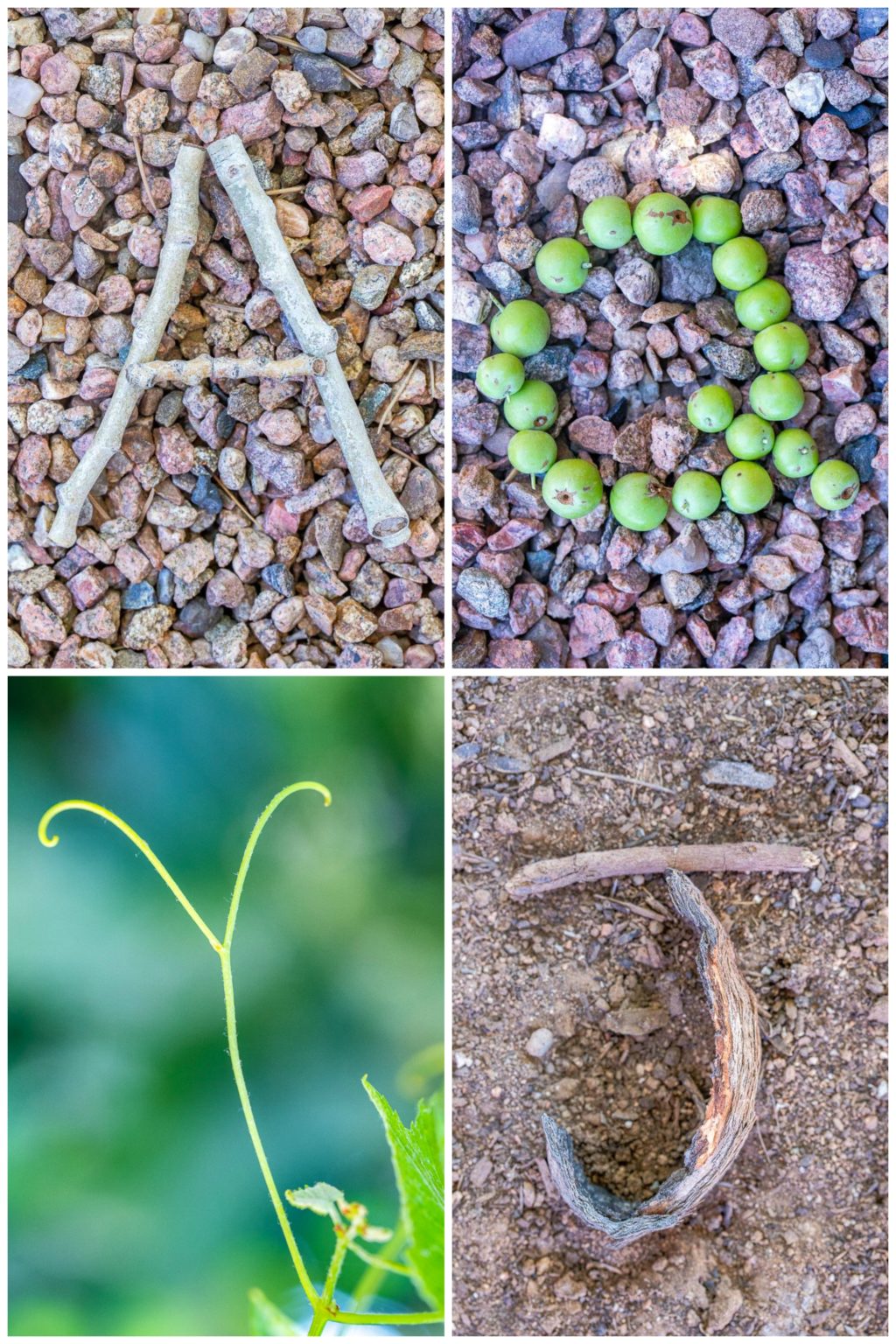 A few different nature alphabet letters