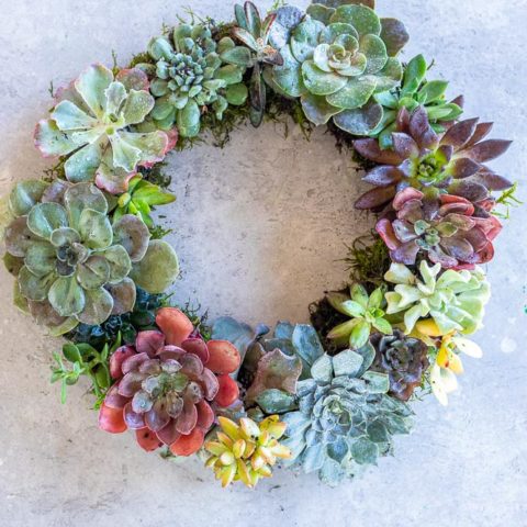 How To Make A Succulent Wreath