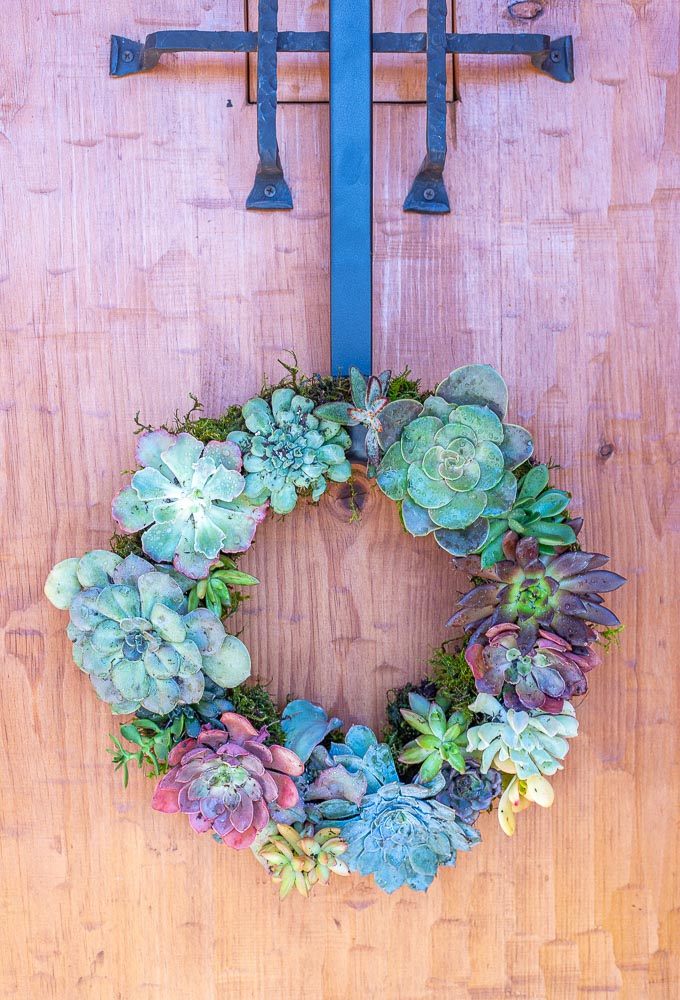 succulent wreath hanging on a door