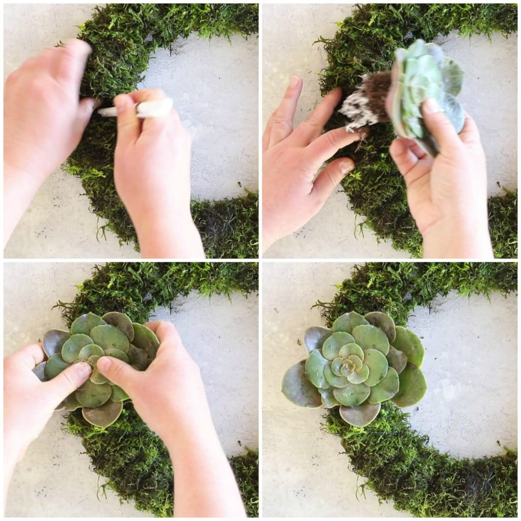 showing step by step instructions for making a succulent wreath