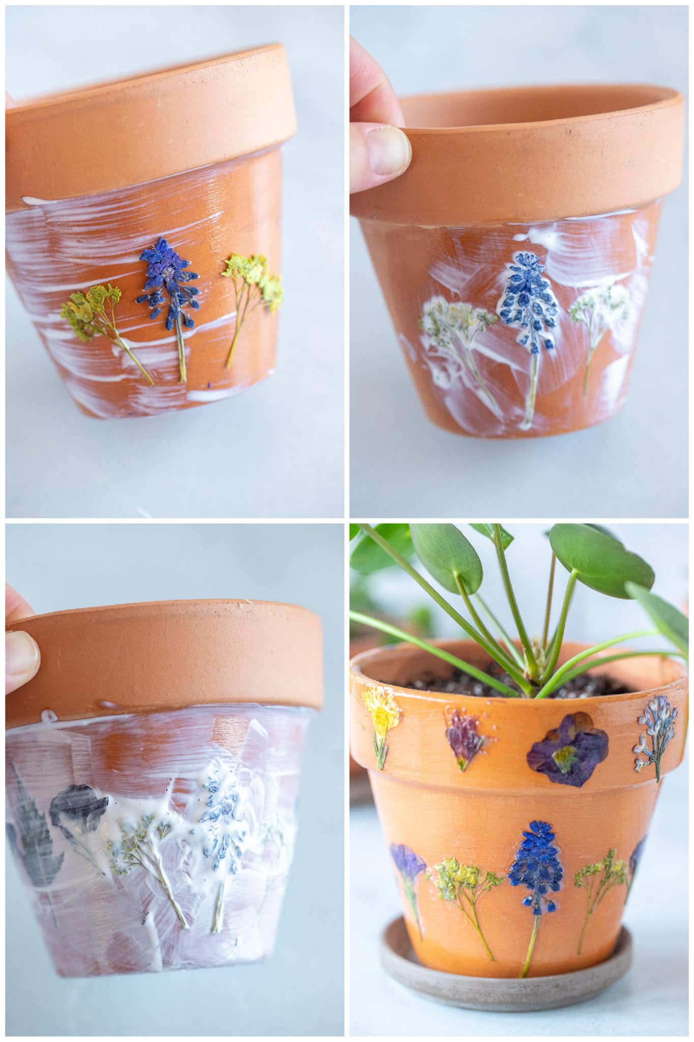 showing step by step how to make a dried flower terra-cotta pot