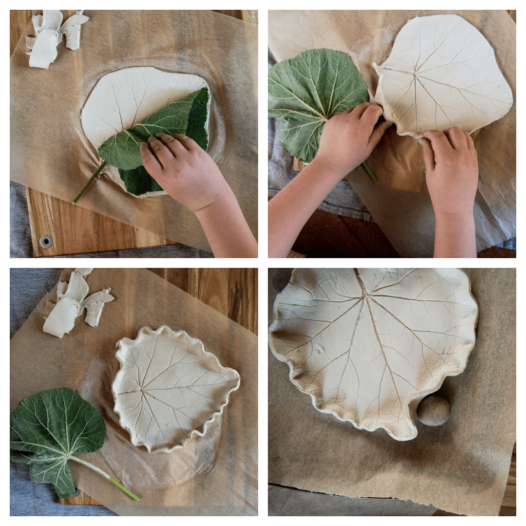 Child removing leaf and folding edges of the leaf to create a shallow dish.