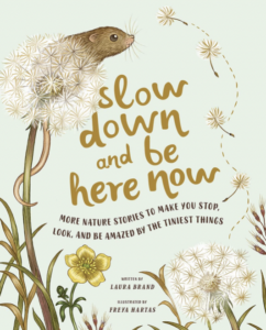 Slow down and be here now book cover