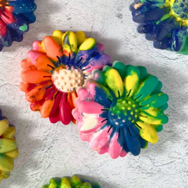 Close-up of two flower rainbow colored molds